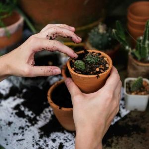 Helping Young Planting