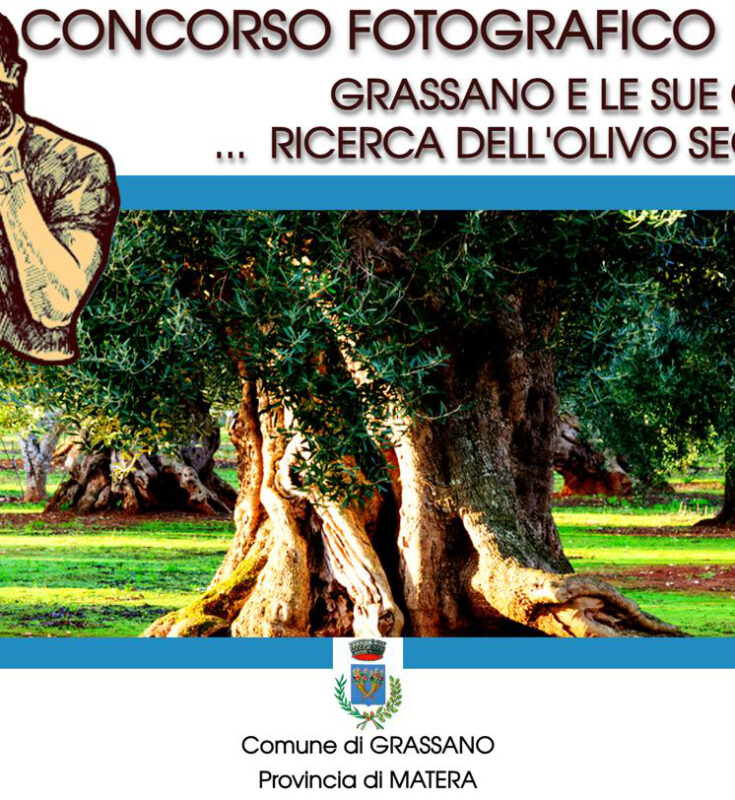 Concorso fotografico “Grassano e le sue origini… ricerca dell’olivo secolare”